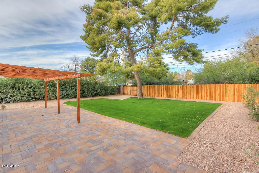 Backyard